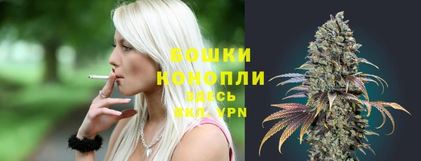 дживик Нефтекумск
