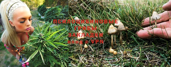 дживик Нефтекумск