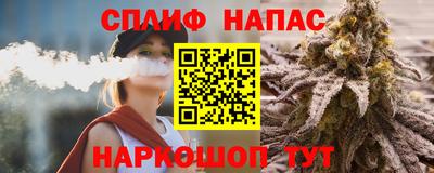 СК Абакан