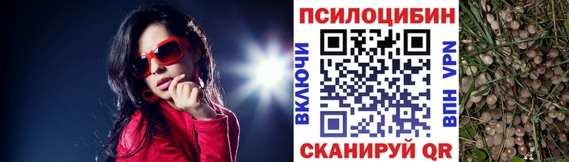 omg ONION  Нефтекумск  Галлюциногенные грибы Psilocybe 