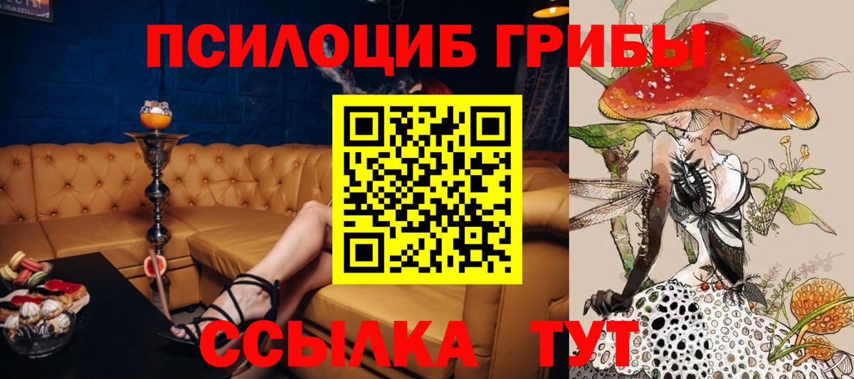 Псилоцибиновые грибы Cubensis  Вход с VPN  наркошоп  Нефтекумск 