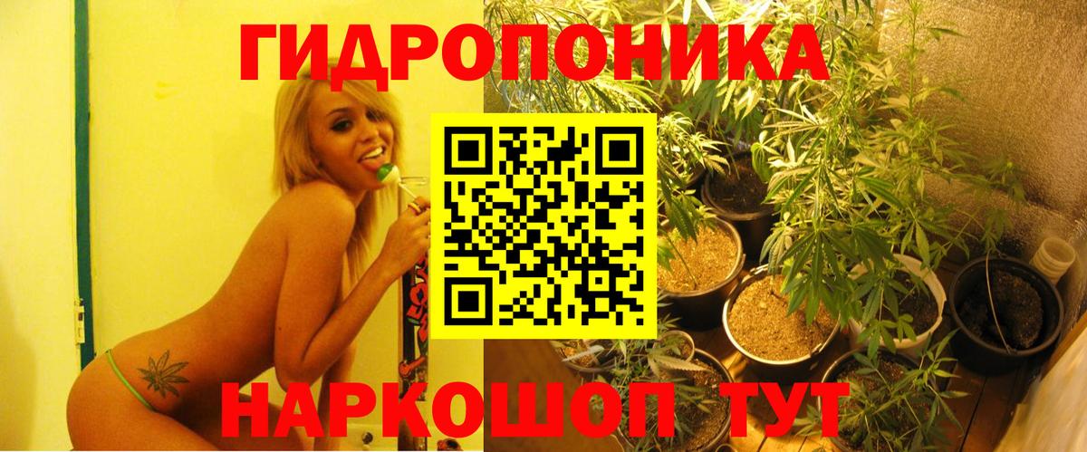 Шишки марихуана конопля Нефтекумск