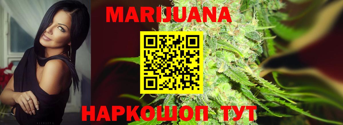 Конопля план  Вход с VPN  Конопля Amnesia  Нефтекумск  Шишки марихуана сатива 